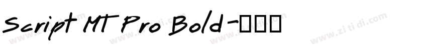 Script MT Pro Bold字体转换